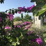 Appartamento Penthouse Ana